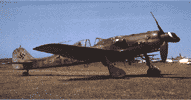 fw-190d-1